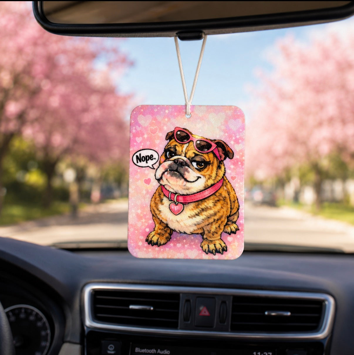 Unscented Air Freshies (2-Pack) | Cute Car, Home & Gift Decor